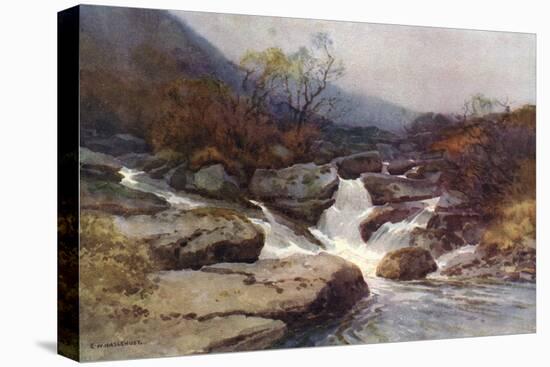 Dartmoor Stream-Ernest W Haslehust-Stretched Canvas