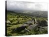 Dartmoor, View Southeast from Bonehill Rocks, Devon, England, United Kingdom, Europe-Lomax David-Stretched Canvas