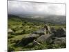 Dartmoor, View Southeast from Bonehill Rocks, Devon, England, United Kingdom, Europe-Lomax David-Mounted Photographic Print