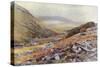 Dartmoor - Wistmans Wood-Ernest W Haslehust-Stretched Canvas