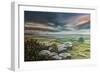 DartmoorSDevon,  pastel-Margo Starkey-Framed Giclee Print