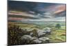 DartmoorSDevon,  pastel-Margo Starkey-Mounted Giclee Print