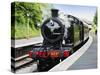 Dartmouth and Paignton Railway, Kingswear Station, Dartmouth, Devon, England, United Kingdom, Europ-David Hughes-Stretched Canvas