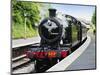 Dartmouth and Paignton Railway, Kingswear Station, Dartmouth, Devon, England, United Kingdom, Europ-David Hughes-Mounted Photographic Print