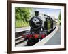 Dartmouth and Paignton Railway, Kingswear Station, Dartmouth, Devon, England, United Kingdom, Europ-David Hughes-Framed Photographic Print