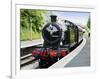 Dartmouth and Paignton Railway, Kingswear Station, Dartmouth, Devon, England, United Kingdom, Europ-David Hughes-Framed Photographic Print