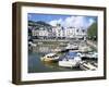 Dartmouth, Devon, England, United Kingdom-Rob Cousins-Framed Photographic Print