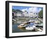 Dartmouth, Devon, England, United Kingdom-Rob Cousins-Framed Photographic Print