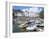 Dartmouth, Devon, England, United Kingdom-Rob Cousins-Framed Photographic Print