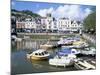 Dartmouth, Devon, England, United Kingdom-Rob Cousins-Mounted Photographic Print