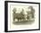 Dartmouth Hall, Dartmouth College-null-Framed Giclee Print