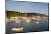 Dartmouth Harbour, Devon, England, United Kingdom, Europe-Matthew-Mounted Photographic Print