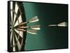 Darts and Target-null-Framed Stretched Canvas