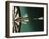 Darts and Target-null-Framed Premium Photographic Print