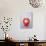 Daruma-null-Photographic Print displayed on a wall