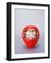 Daruma-null-Framed Photographic Print