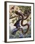 Darwin Carpet Python (Morelia Spilota Variegata), Pythonidae-null-Framed Giclee Print