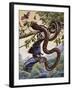 Darwin Carpet Python (Morelia Spilota Variegata), Pythonidae-null-Framed Giclee Print