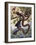 Darwin Carpet Python (Morelia Spilota Variegata), Pythonidae-null-Framed Giclee Print