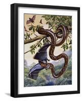 Darwin Carpet Python (Morelia Spilota Variegata), Pythonidae-null-Framed Giclee Print