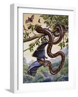 Darwin Carpet Python (Morelia Spilota Variegata), Pythonidae-null-Framed Giclee Print