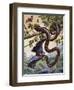 Darwin Carpet Python (Morelia Spilota Variegata), Pythonidae-null-Framed Premium Giclee Print