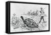 Darwin Testing the Speed of an Elephant Tortoise (Galapagos Islands) by Meredith Nugent-null-Framed Stretched Canvas