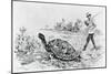 Darwin Testing the Speed of an Elephant Tortoise (Galapagos Islands) by Meredith Nugent-null-Mounted Giclee Print