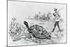 Darwin Testing the Speed of an Elephant Tortoise (Galapagos Islands) by Meredith Nugent-null-Mounted Giclee Print