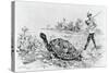Darwin Testing the Speed of an Elephant Tortoise (Galapagos Islands) by Meredith Nugent-null-Stretched Canvas