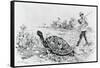 Darwin Testing the Speed of an Elephant Tortoise (Galapagos Islands) by Meredith Nugent-null-Framed Stretched Canvas