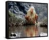 Daryl Hannah - The Clan of the Cave Bear-null-Framed Stretched Canvas