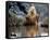 Daryl Hannah - The Clan of the Cave Bear-null-Framed Stretched Canvas