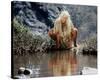 Daryl Hannah - The Clan of the Cave Bear-null-Stretched Canvas