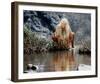 Daryl Hannah - The Clan of the Cave Bear-null-Framed Photo