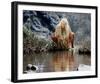 Daryl Hannah - The Clan of the Cave Bear-null-Framed Photo