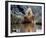 Daryl Hannah - The Clan of the Cave Bear-null-Framed Photo