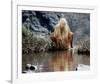 Daryl Hannah - The Clan of the Cave Bear-null-Framed Photo