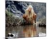 Daryl Hannah - The Clan of the Cave Bear-null-Mounted Photo