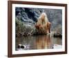 Daryl Hannah - The Clan of the Cave Bear-null-Framed Photo