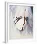 Daryl Hannah - The Clan of the Cave Bear-null-Framed Photo