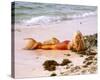 Daryl Hannah-null-Stretched Canvas