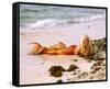 Daryl Hannah-null-Framed Stretched Canvas