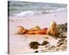 Daryl Hannah-null-Stretched Canvas