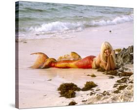 Daryl Hannah-null-Stretched Canvas