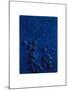 Das Daue Schwammrelief, c.1958-Yves Klein-Mounted Art Print