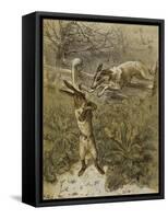 Das Häschen (Little Rabbit), 1863-Theodor Hosemann-Framed Stretched Canvas