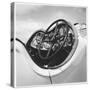 Dashboard of Older Model Rolls Royce Convertible-Walker Evans-Stretched Canvas