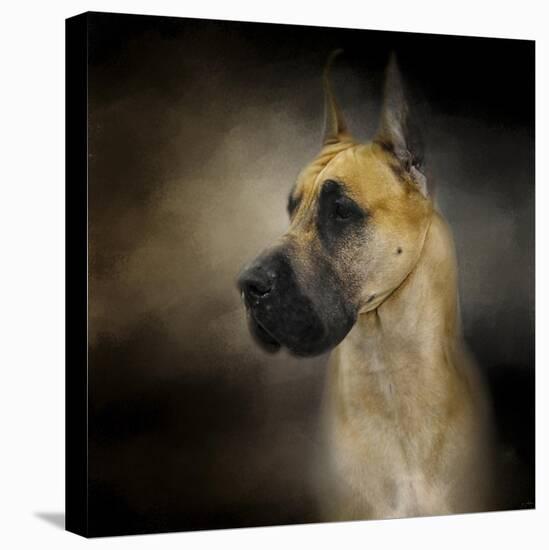 Dashing Great Dane-Jai Johnson-Stretched Canvas