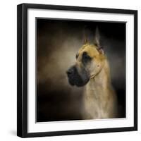 Dashing Great Dane-Jai Johnson-Framed Giclee Print